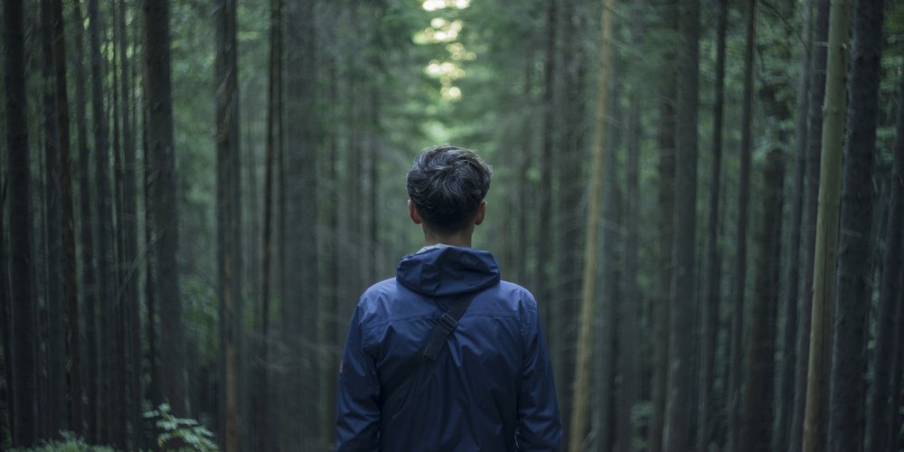 Trauma-informed Mental Health Skills